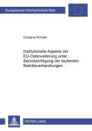 Institutionelle Aspekte der EU-Osterweiterung unter Berücksichtigung der laufenden Beitrittsverhandlungen di Christine Pirhofer edito da Lang, Peter GmbH