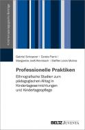 Professionelle Praktiken di Gabriel Schoyerer, Carola Frank, Margarete Jooß-Weinbach, Steffen Loick Molina edito da Juventa Verlag GmbH