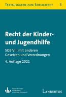 Recht der Kinder- und Jugendhilfe - SGB VIII mit anderen Gesetzen und Verordnungen edito da Lambertus-Verlag