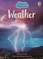 Weather di Catriona Clarke edito da Usborne Publishing Ltd