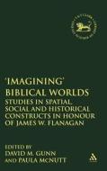 'imagining' Biblical Worlds: Studies in Spatial, Social and Historical Constructs in Honour of James W. Flanagan di David M. Gunn edito da CONTINNUUM 3PL