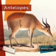 Antelopes di Melissa Gish edito da CREATIVE ED & PAPERBACKS