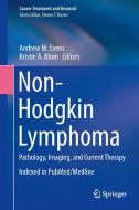 Non-Hodgkin Lymphoma di Kristie A. Blum edito da Springer-Verlag GmbH