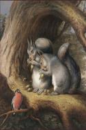 Journal: Squirrels and Bird Under a Tree: A Simple Lined Journal di Wm Journals edito da INDEPENDENTLY PUBLISHED