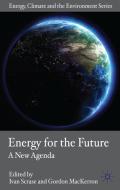 Energy for the Future: A New Agenda edito da SPRINGER NATURE