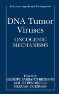 DNA Tumor Viruses di G. Barbanti-Brodano, Giuseppe Ed. Barbanti-Brodano edito da Springer US