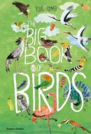 The Big Book of Birds di Yuval Zommer edito da Thames & Hudson Ltd
