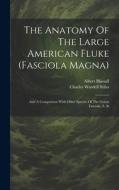 The Anatomy Of The Large American Fluke (fasciola Magna): And A Comparison With Other Species Of The Genus Fasciola, S. St di Charles Wardell Stiles, Albert Hassall edito da LEGARE STREET PR