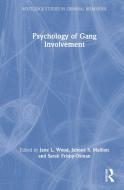 Psychology Of Gang Involvement edito da Taylor & Francis Ltd