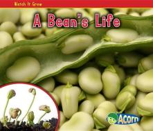 A Bean's Life di Nancy Dickmann edito da HEINEMANN LIB