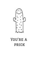 You're a Prick: Cactus Notebook, 110 Pages, 6' X 9' di Joy Feathers edito da INDEPENDENTLY PUBLISHED