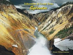 Yellowstone & Grand Teton Splendor di Dennis W. Linnehan edito da FARCOUNTRY PR