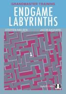 Endgame Labyrinths di Jacob Aagaard, Steffen Nielsen edito da Quality Chess