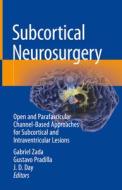 Subcortical Neurosurgery edito da Springer International Publishing