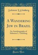 A Wandering Jew in Brazil: An Autobiography of Solomon L. Ginsburg (Classic Reprint) di Solomon L. Ginsburg edito da Forgotten Books