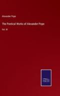 The Poetical Works of Alexander Pope di Alexander Pope edito da Salzwasser-Verlag
