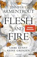 Flesh and Fire - Liebe kennt keine Grenzen di Jennifer L. Armentrout edito da Heyne Taschenbuch