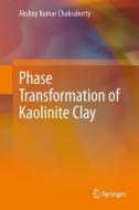 Phase Transformation of Kaolinite Clay di Akshoy Kumar Chakraborty edito da Springer India