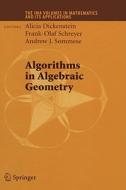 Algorithms in Algebraic Geometry edito da Springer-Verlag GmbH
