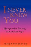 I Never Knew You di John R. Singleton edito da iUniverse