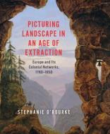 Picturing Landscape in an Age of Extraction di Stephanie O'Rourke edito da University of Chicago Press