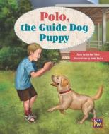 Polo the Guide Dog Puppy: Leveled Reader Orange Level 15 edito da RIGBY