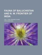 Fauna of Baluchistan and N. W. Frontier of India; Vol. I. the Jurassic Fauna di Fritz Noetling edito da Rarebooksclub.com