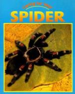 Caring for Your Spider di Michelle Lomberg edito da Av2 by Weigl