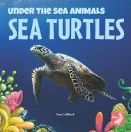 Sea Turtles di Amy Culliford edito da PELICAN PUB CO