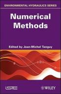 Numerical Methods di Jean-Michel Tanguy edito da ISTE Ltd.