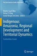 Indigenous Amazonia, Regional Development and Territorial Dynamics edito da Springer International Publishing