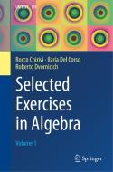 Selected Exercises in Algebra di Rocco Chirivì, Ilaria Del Corso, Roberto Dvornicich edito da Springer International Publishing