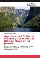 Apertura del Golfo de México y rotación del Bloque Maya en el Jurásico di Antonio Godinez Urban edito da EAE