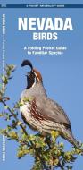 Nevada Birds: A Folding Pocket Guide to Familiar Species di James Kavanagh edito da Waterford Press