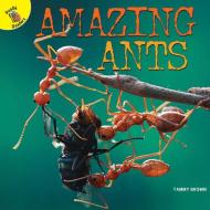 Amazing Ants di Tammy Brown edito da READY READERS