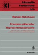 Prinzipien piktorieller Repräsentationssysteme di Michael Mohnhaupt edito da Springer Berlin Heidelberg