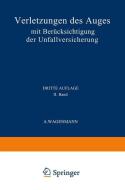 Verletzungen des Auges di A. Wagenmann edito da Springer Berlin Heidelberg