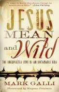 Jesus Mean and Wild di Mark Galli edito da Baker Publishing Group