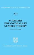 Auxiliary Polynomials in Number Theory di David Masser edito da Cambridge University Press