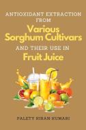 Antioxidant Extraction From Various Sorghum Cultivars and Their Use in Fruit Juice di Palety Kiran Kumari edito da independent Author