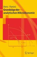 Grundzüge der analytischen Mikroökonomie di Thorsten Hens, Paolo Pamini edito da Springer-Verlag GmbH