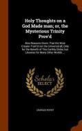 Holy Thoughts On A God Made Man; Or, The Mysterious Trinity Prov'd di Charles Povey edito da Arkose Press