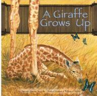 A Giraffe Grows Up di Amanda Doering Tourville edito da Picture Window Books