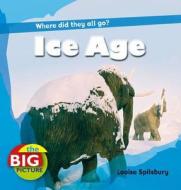 Ice Age di Louise Spilsbury edito da Bloomsbury Publishing PLC