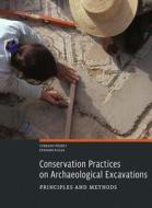 Conservation Practices on Archaeological Excavations - Priciples and Methods di Corrado Pedeli edito da Getty Trust Publications