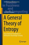A General Theory of Entropy di Kofi Kissi Dompere edito da Springer International Publishing