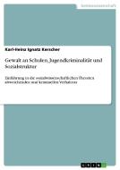 Gewalt an Schulen, Jugendkriminalität und Sozialstruktur di Karl-Heinz Ignatz Kerscher edito da GRIN Publishing
