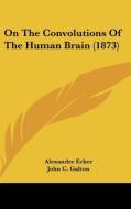 On the Convolutions of the Human Brain (1873) di Alexander Ecker edito da Kessinger Publishing