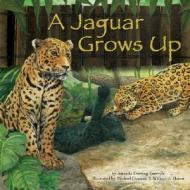 A Jaguar Grows Up di Amanda Doering Tourville edito da Picture Window Books