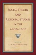 Social Theory and Regional Studies in the Global Age edito da State University of New York Press